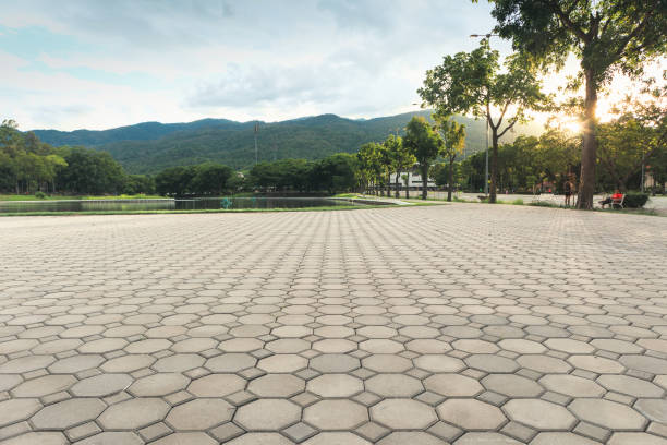 Best Permeable Paver Driveway  in Waldron, AR