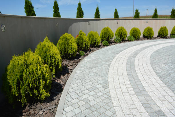 Best Residential Paver Driveway  in Waldron, AR