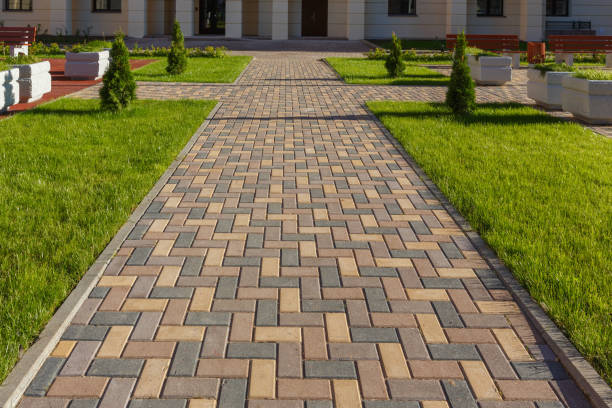 Best Driveway Paving Contractor  in Waldron, AR